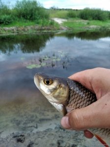 IMG_20200801_201651.jpg