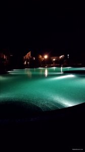 IMG_20200729_213006.jpg