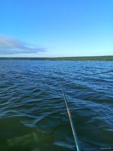 IMG_20200802_062247.jpg