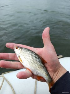 IMG_20200802_095131.jpg
