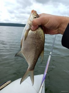 IMG_20200802_110406.jpg
