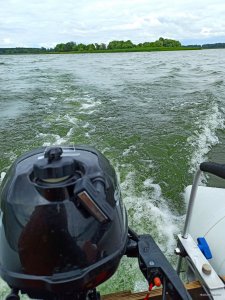 IMG_20200802_205708.jpg