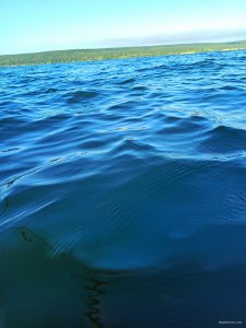IMG_20200802_205436.jpg