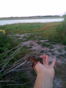 IMG_20200803_200902.jpg