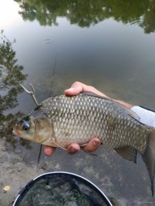 IMG_20200804_194224.jpg