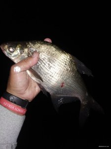 IMG_20200804_211517.jpg