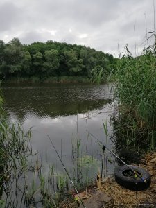 IMG_20200802_075235.jpg