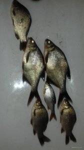 20200806_225630.jpg
