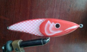 20200808_124357.jpg