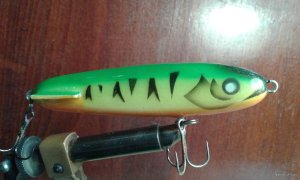20200808_124249.jpg