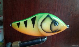 20200808_124538.jpg