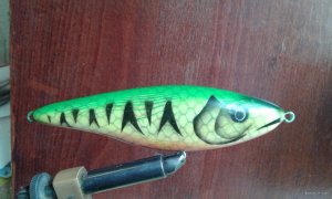 20200808_124558.jpg