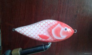 20200808_124618.jpg