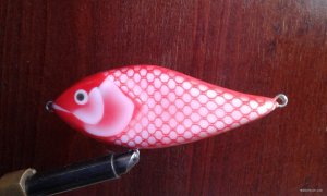 20200809_074336.jpg