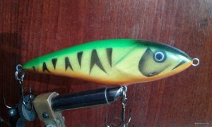 20200809_075748.jpg