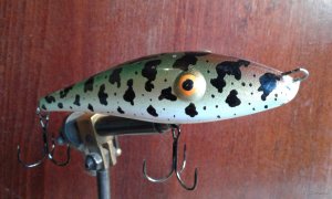 20200809_073704.jpg