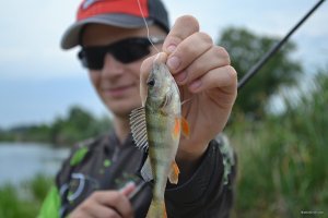 DSC_0174.jpg