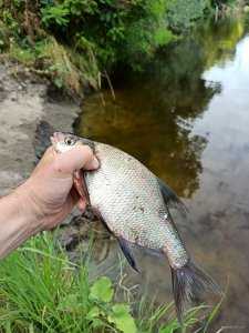 IMG_20200809_173214.jpg