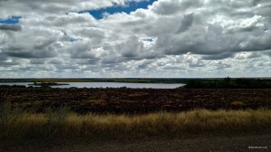 IMG_20200802_121438.jpg