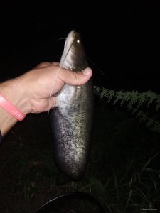 IMG_20200809_203454.jpg