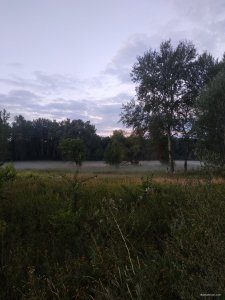 IMG_20200810_051110.jpg