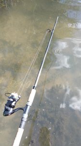 IMG_20200809_102145.jpg