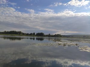 IMG_20200809_173809.jpg
