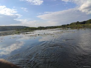 IMG_20200809_173814.jpg