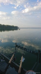DSC_1131.JPG