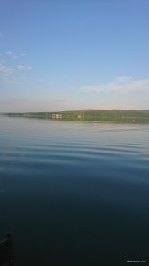 DSC_1136.JPG