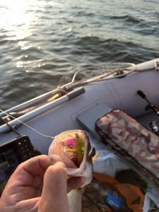 IMG_20200807_190216.jpg
