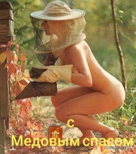 image-0-02-05-1e96912a302cb32cf0b94d4139c35c167331cf0fb29782c7ff3171ac9d324e5f-V.jpg