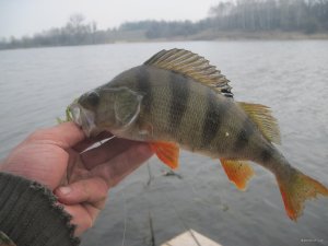 IMG_2523.JPG