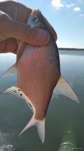 IMG_20200815_101422.jpg