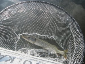 IMG_3172.JPG