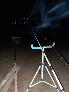 20200816_024945.jpg