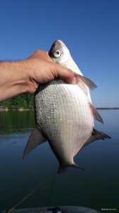 20200817_084020.jpg