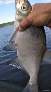 IMG_20200818_101715.jpg
