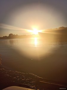 IMG_20200817_060226.jpg