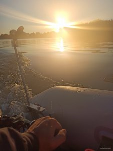 IMG_20200817_060234.jpg