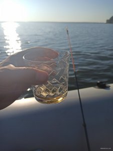 IMG_20200817_070952.jpg