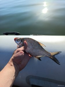 IMG_20200817_074319.jpg