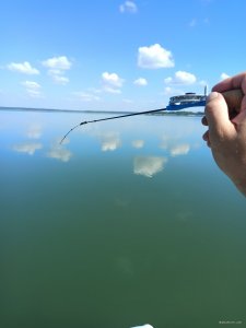 IMG_20200817_102901.jpg