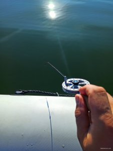 IMG_20200817_160058.jpg