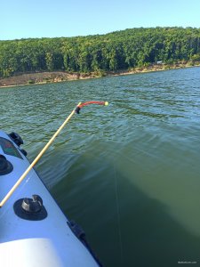 IMG_20200817_084707.jpg