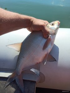 IMG_20200817_101404.jpg