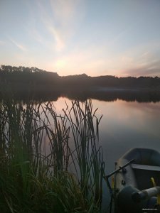 IMG_20200815_195009.jpg