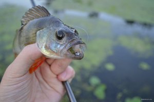 DSC_0091.jpg