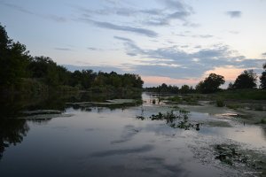 DSC_0114.jpg