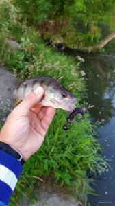 IMG_20200819_063814.jpg